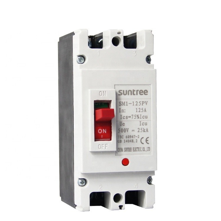 250 Amp 2 Poles DC Molded Case Circuit Breaker